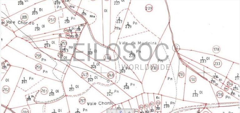 Quinhão Hereditário · Tomar
