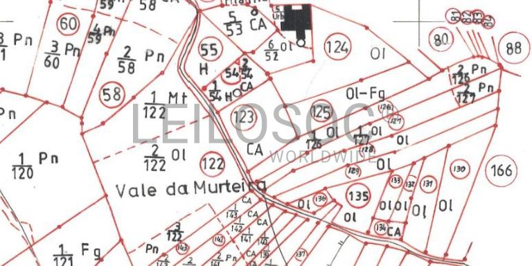 Quinhão Hereditário · Tomar