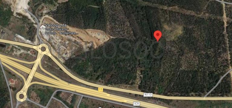 Quinhão Hereditário · Tomar