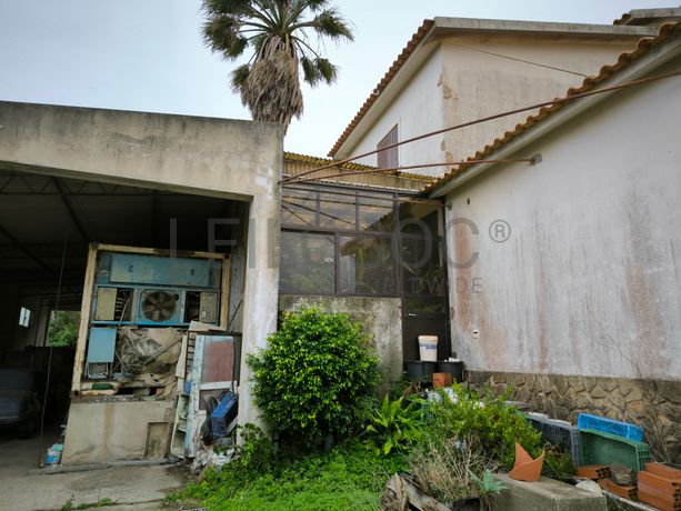 Moradia + Armazém + Terreno · Torres Vedras