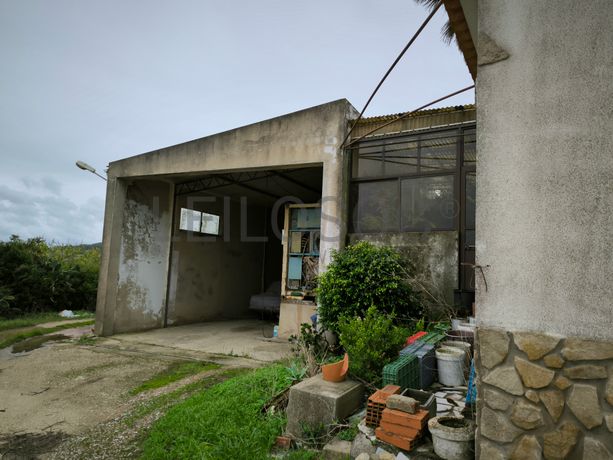 Moradia + Armazém + Terreno · Torres Vedras