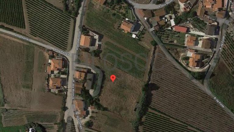 Moradia + Armazém + Terreno · Torres Vedras