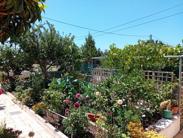 Quinhão Hereditário · Oeiras