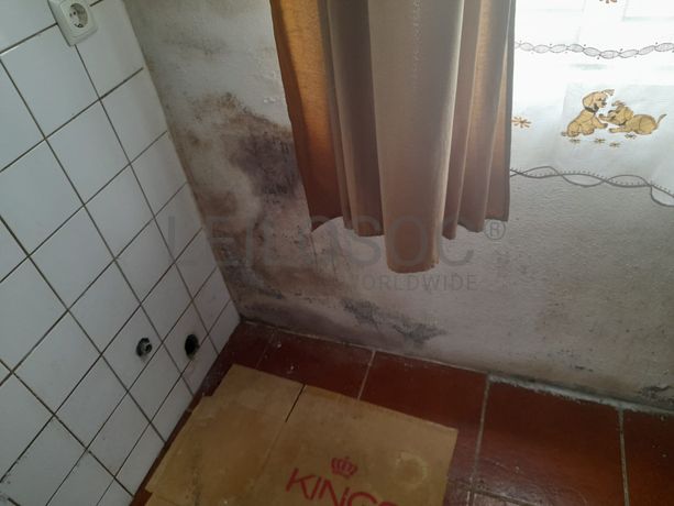 Apartamento T1 · Calheta, Açores