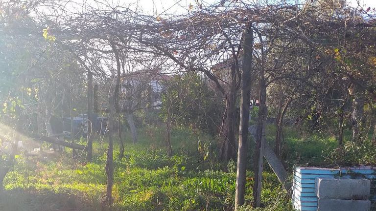 Quinhão Hereditário · Ponte de Lima