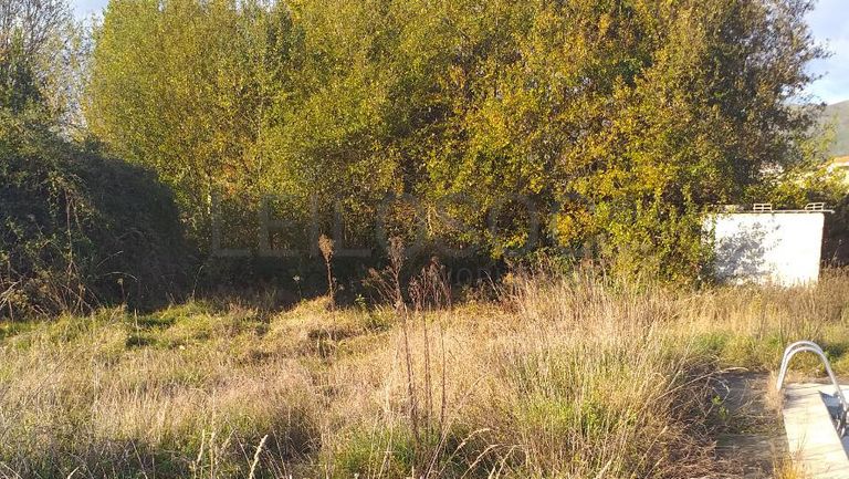 Quinhão Hereditário · Ponte de Lima