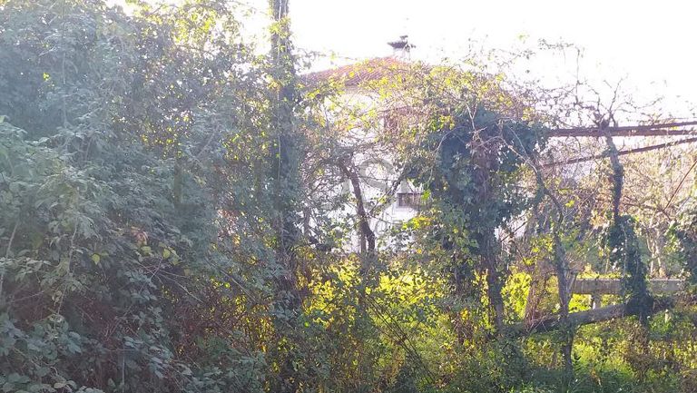 Quinhão Hereditário · Ponte de Lima