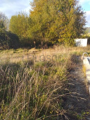 Quinhão Hereditário · Ponte de Lima