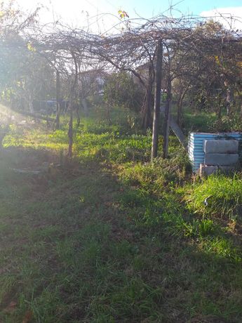Quinhão Hereditário · Ponte de Lima