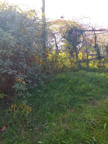 Quinhão Hereditário · Ponte de Lima