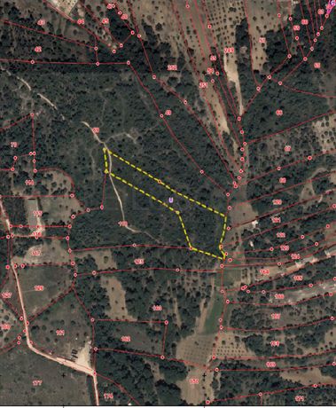 9/10 de Terreno · Torres Novas, Santarém