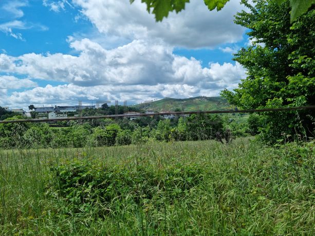 Proporção de 1/2 de Terrenos · Baião