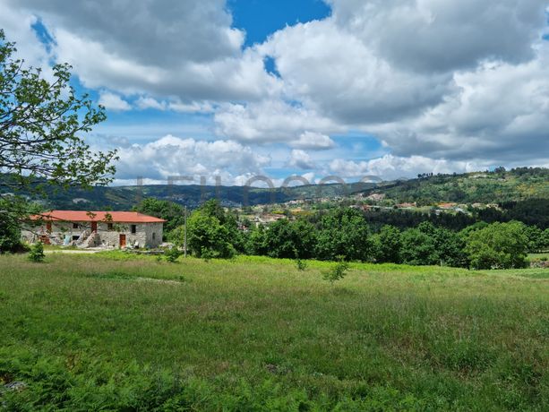 Proporção de 1/2 de Terrenos · Baião