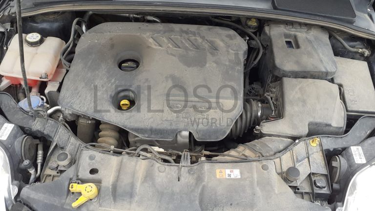 Ford Focus TDCI · Ano 2012