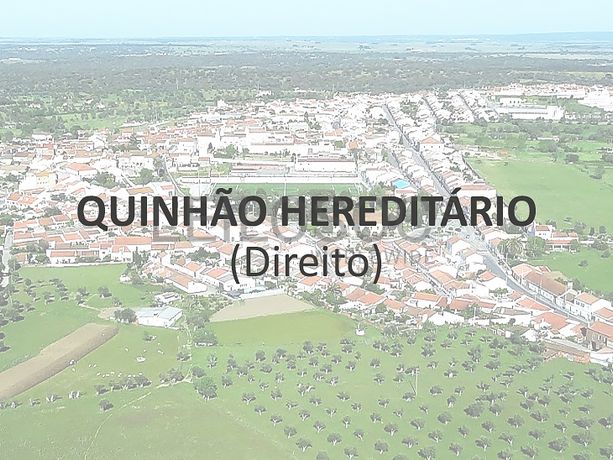 LEILÃO SUSPENSO · Quinhão Hereditário · Tabuaço, Viseu