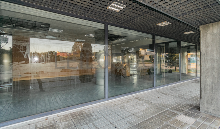 Lojas · Santa Maria da Feira