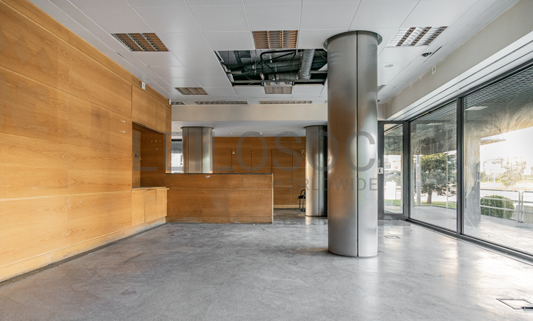 Lojas · Santa Maria da Feira