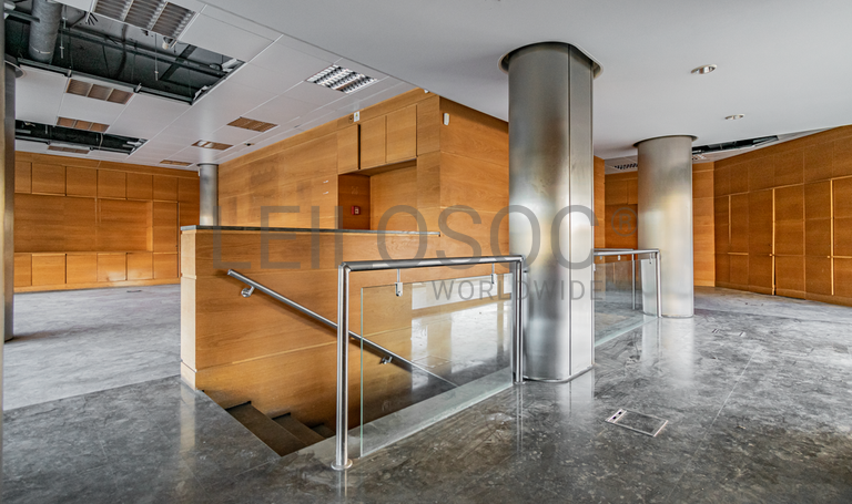 Lojas · Santa Maria da Feira