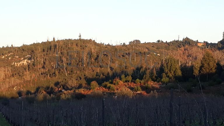 Proporção de 3/8 de Terreno · Viseu