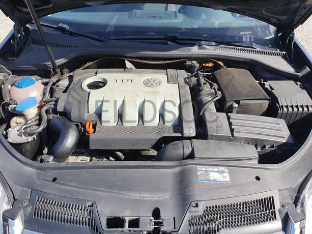 Volkswagen Golf Variant 1.9 TDI · Ano 2007