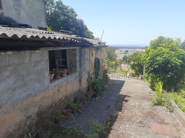 Quinhão Hereditário · Albergaria-a-Velha, Aveiro