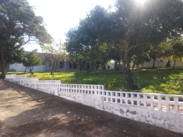 Moradia T2 · Bilene