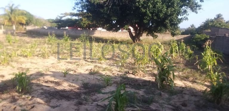 Infraestruturas em terreno