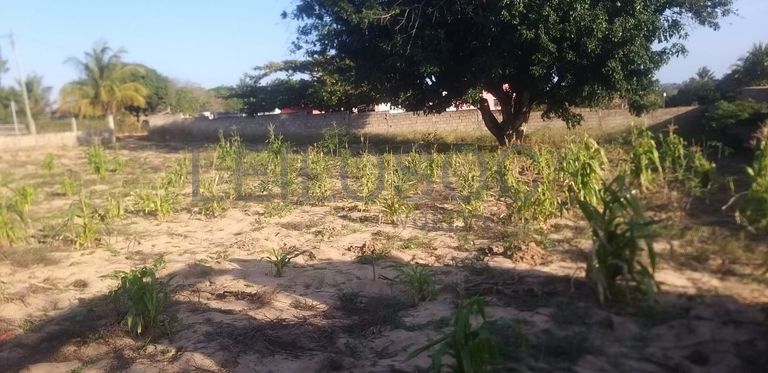 Infraestruturas em terreno