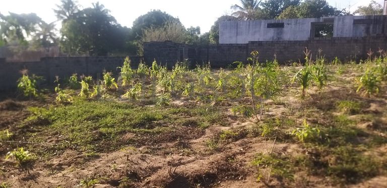 Infraestruturas em terreno