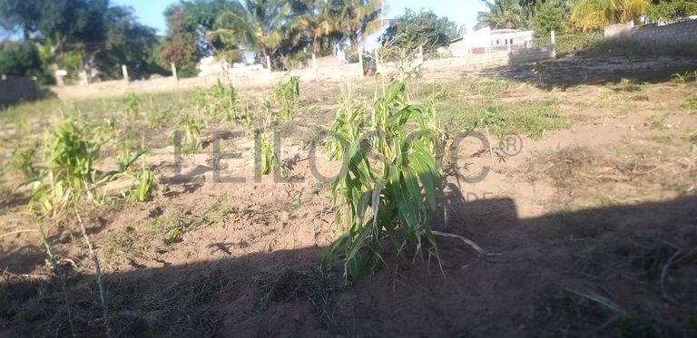 Infraestruturas em terreno