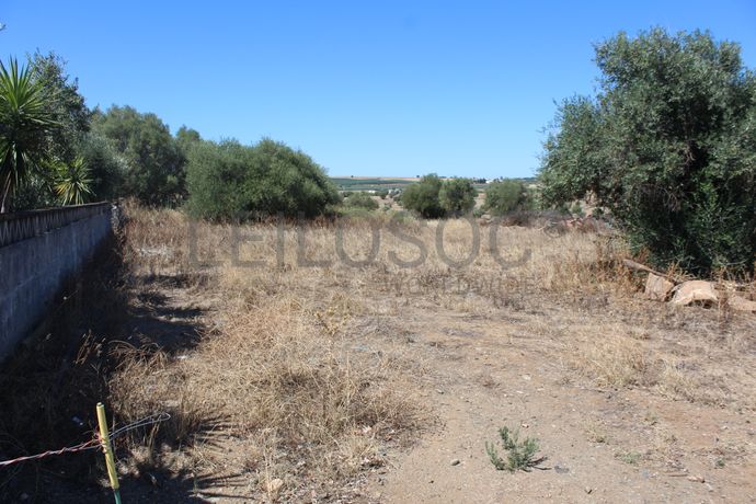 Moradia V3 + Terreno · Beja