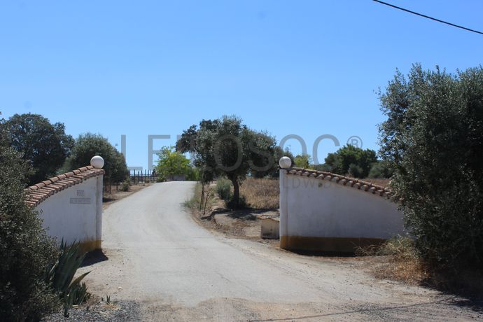 Moradia V3 + Terreno · Beja