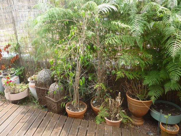 Equipamentos Hotelaria · Artigos decorativos · Diversos