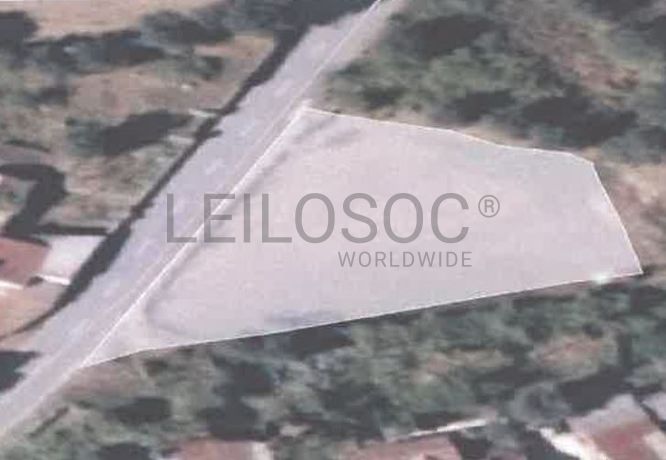 Quinhão Hereditário · Ponte de Lima