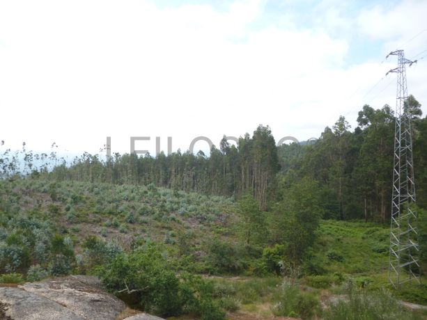 Terreno c/ 8.600m² · Valpedre, Penafiel
