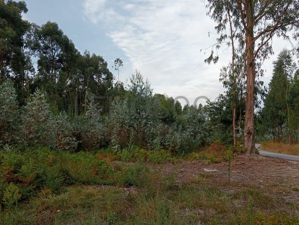 Terreno c/ 8.000m² · Valpedre, Penafiel