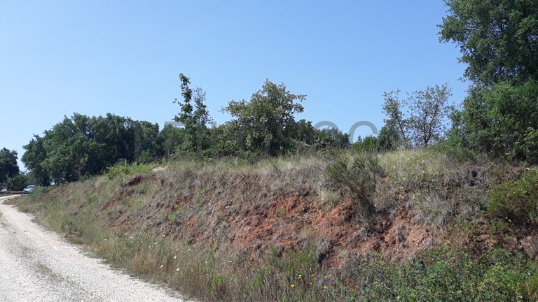 Terreno · Santarém