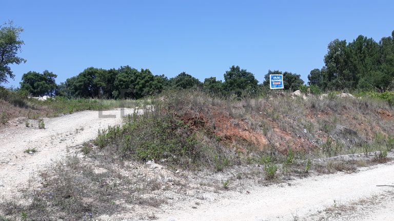 Terreno · Santarém