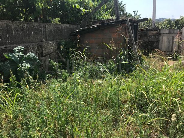 Quinhão Hereditário · Marco de Canaveses