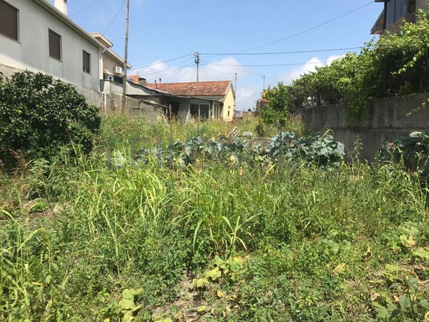 Quinhão Hereditário · Marco de Canaveses