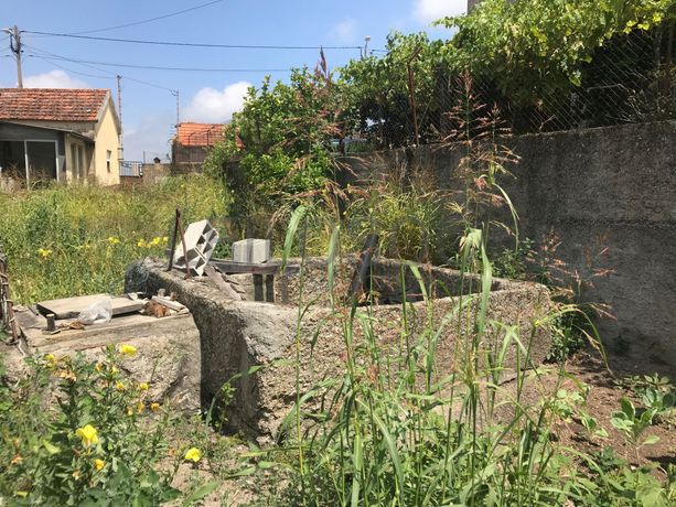 Quinhão Hereditário · Marco de Canaveses