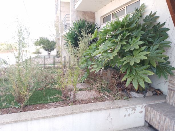 Moradia V3 · Lousada