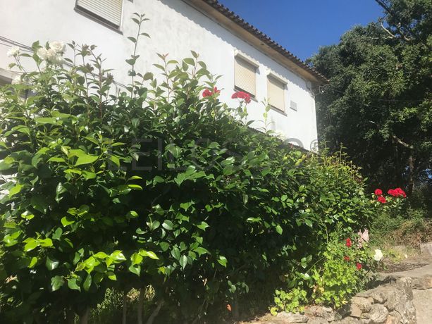 Moradia · São João da Madeira