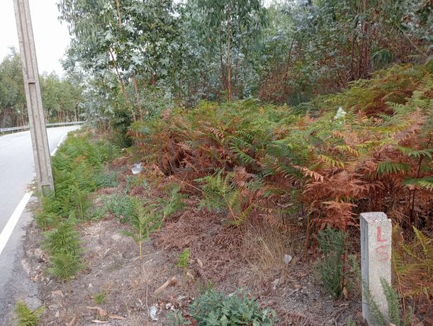 Terreno c/ 400m² · Valpedre, Penafiel