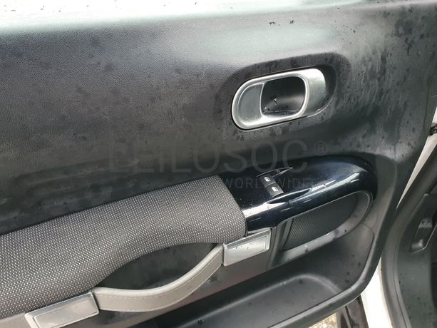 Citroën C4 Cactus · Ano 2015