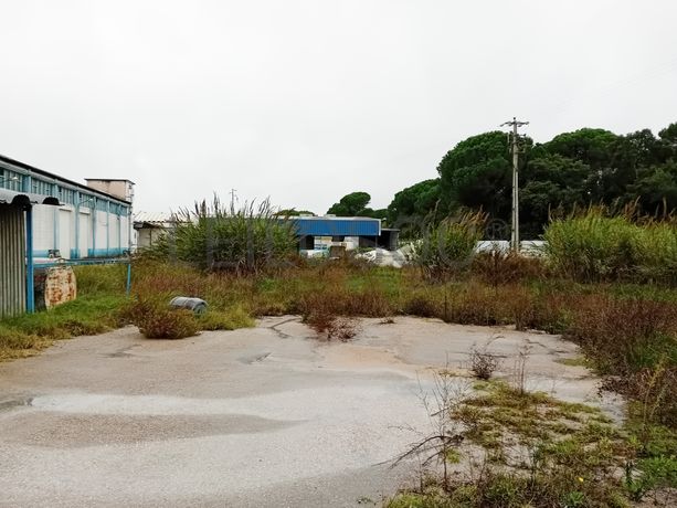 Armazém Industrial · Santarém