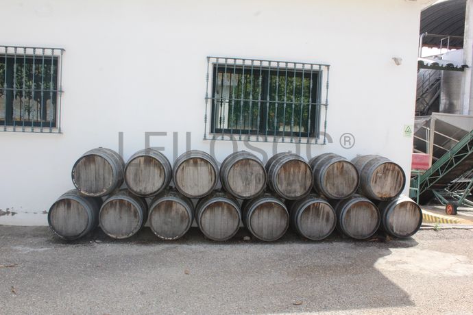 Adega Cooperativa de Portalegre, Crl