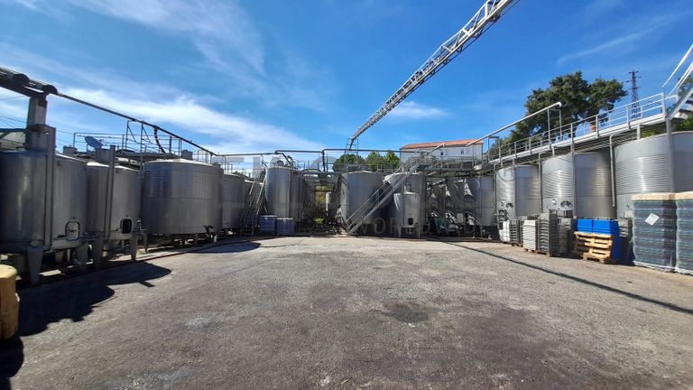 Adega Cooperativa de Portalegre, Crl