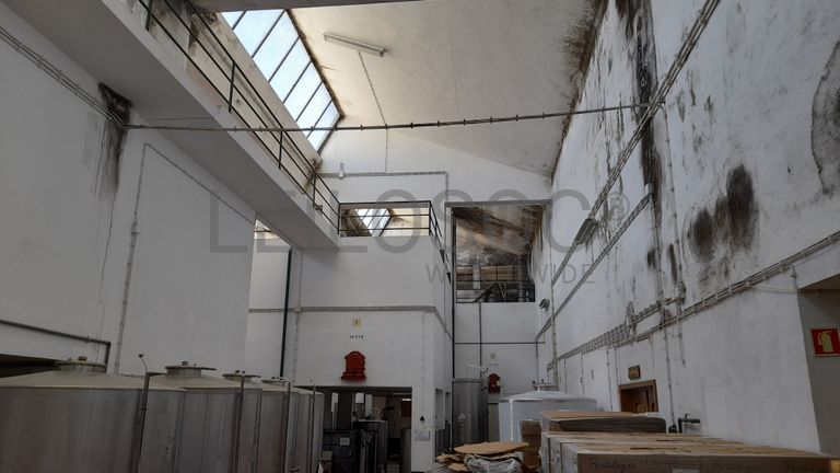 Adega Cooperativa de Portalegre, Crl