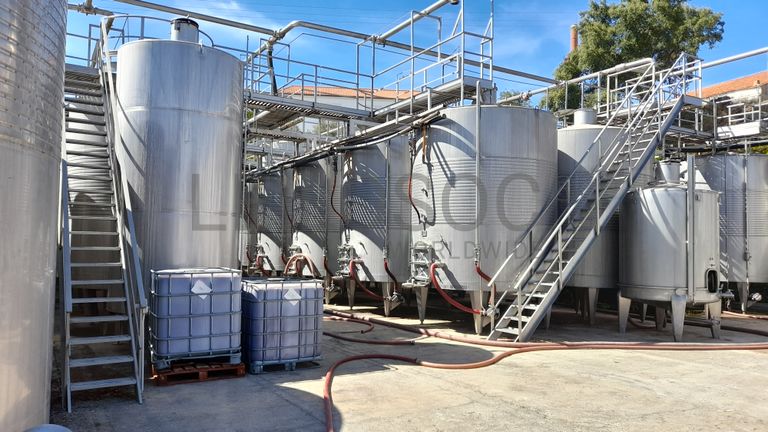 Adega Cooperativa de Portalegre, Crl